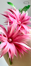 Shandi - Pink & Green Feather Fascinator